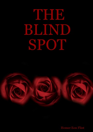 THE BLIND SPOT