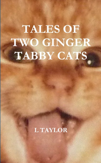 Tales of Two Ginger Tabby Cats