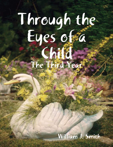Through the Eyes of a Child: The Third Year