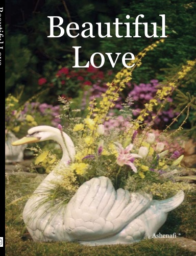 Beautiful Love