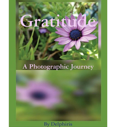 Gratitude - A Photographic Journey