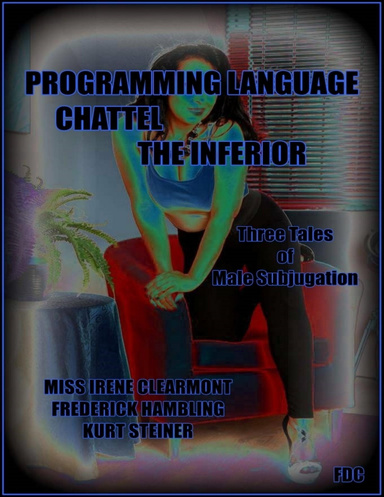 Programming Language - Chattel - The Inferior