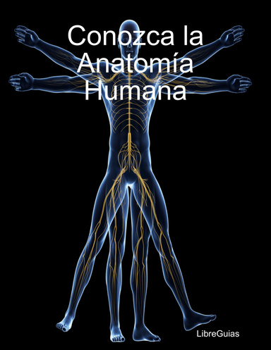 Conozca la Anatomía Humana