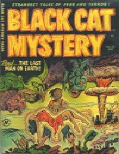 Black Cat Mystery