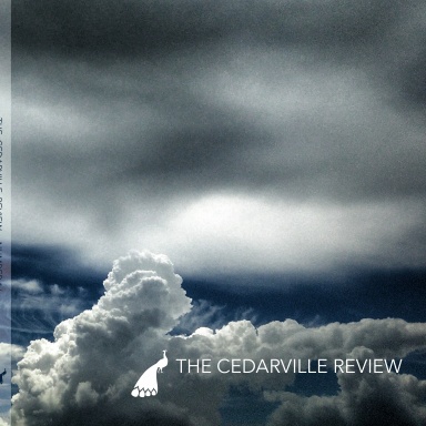 The Cedarville Review 2016