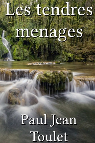 Les tendres menages [French]