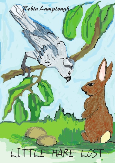 Little Hare Lost