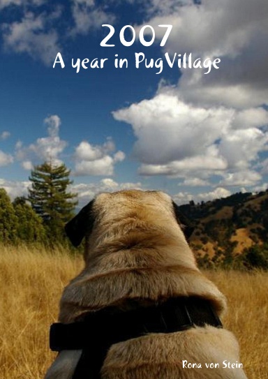 2007 - A year in PugVillage
