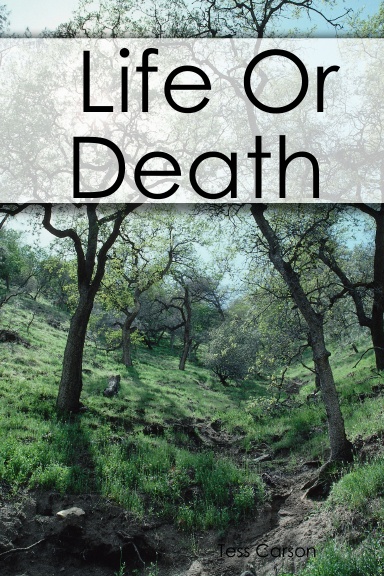 Life Or Death