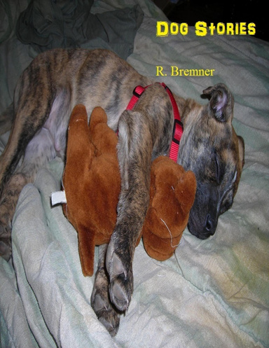 Dog Stories