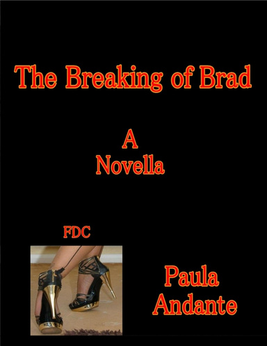 The Breaking of Brad - A Novella