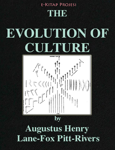 The Evolution of Culture