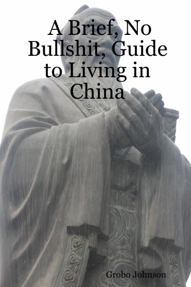 A Brief, No Bullshit, Guide to Living in China