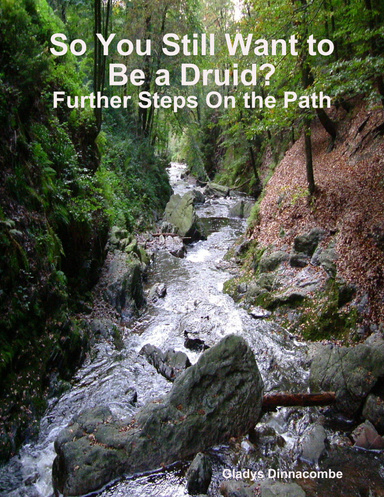 So You Still Want to Be a Druid? - Further Steps On the Path