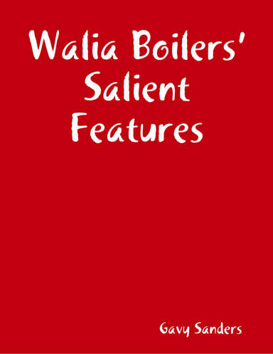Walia Boilers’ Salient Features