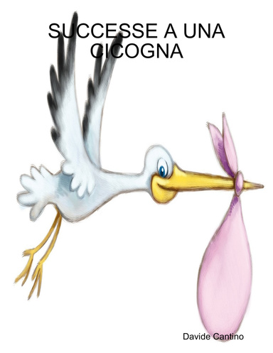 SUCCESSE A UNA CICOGNA