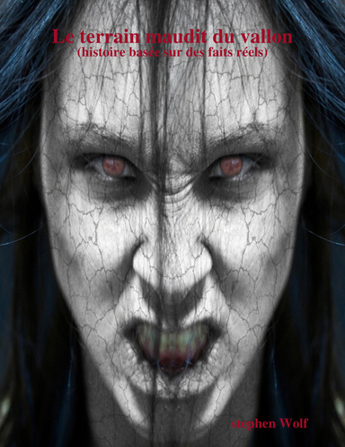 Le terrain maudit du vallon (histoire basée sur des faits réels)