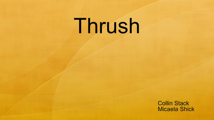 Thrush
