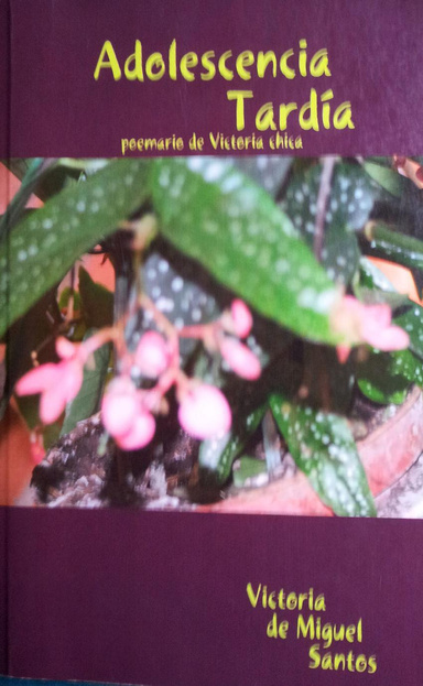 Adolescencia Tardía