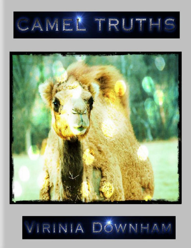 Camel Truths