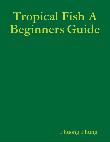 Tropical Fish A Beginners Guide