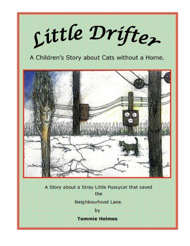 Little Drifter