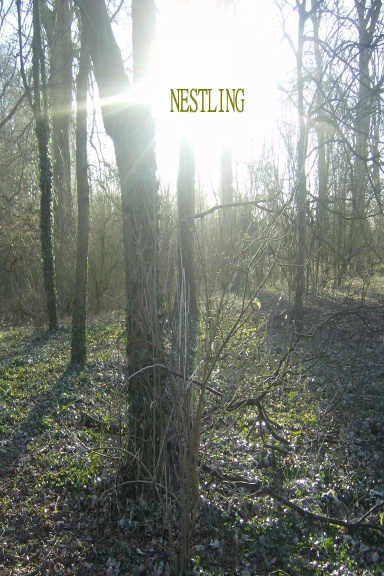 Nestling