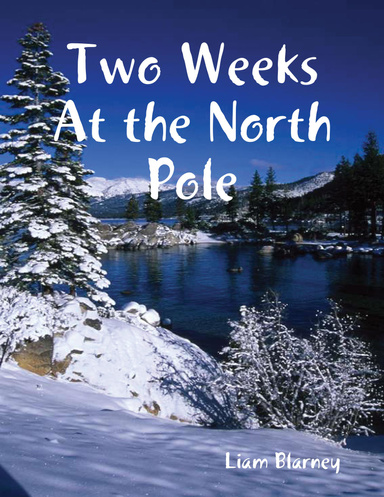 Two Weeks At the North Pole