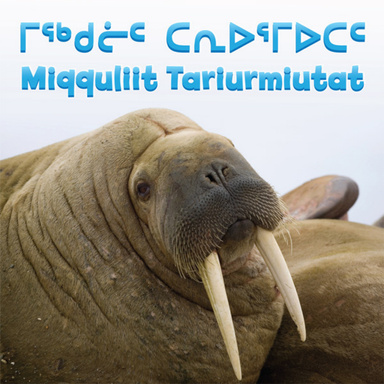 Miqquliit Tariurmiutat