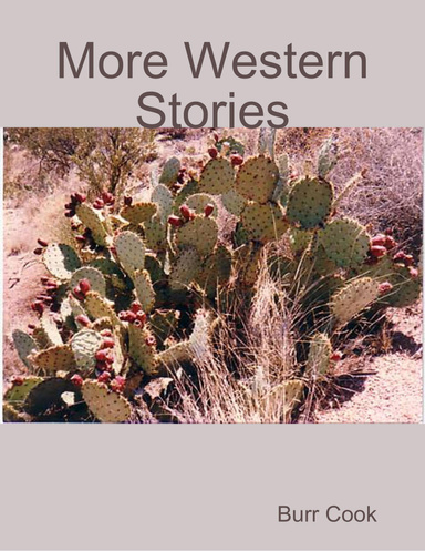 More Western Stories