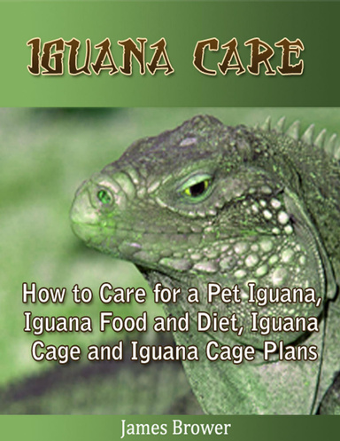 Iguana Care: How to Care for a Pet Iguana, Iguana Food and Diet, Iguana Cage and Iguana Cage Plans