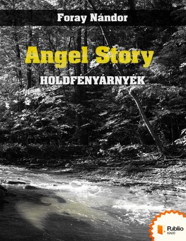 Angel Story