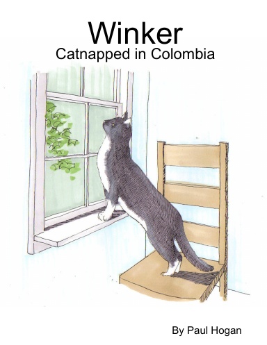 Winker - Catnapped in Colombia
