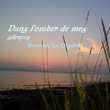 Dans l'ombre de mes silences