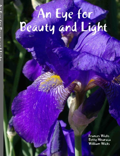 An Eye for Beauty and Light