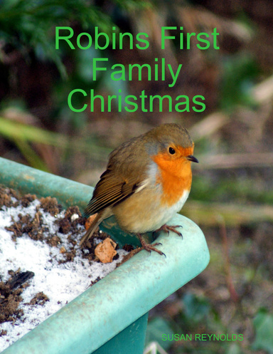 Robins first family Christmas