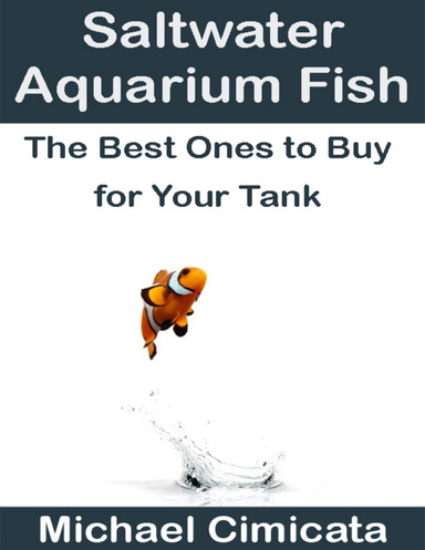 Saltwater Aquarium Fish: The Best Ones to Buy for Your Tank