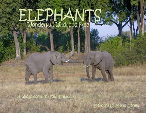 Elephants Wonderful, Wild and Free