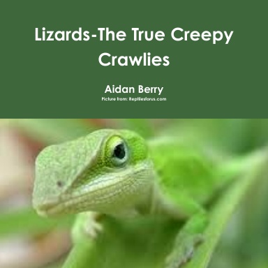 Lizards-the true creepy crawlies