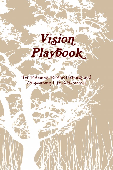 Vision Playbook