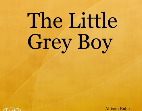 The Little Grey Boy
