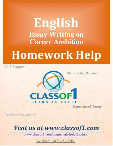 Essay Writing on career ambition