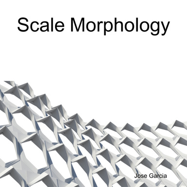 Scale Morphology