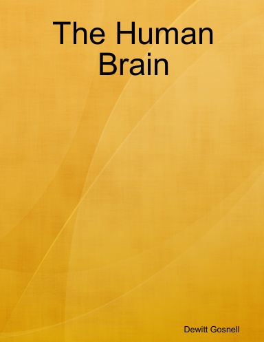 The Human Brain