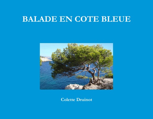 BALADE EN COTE BLEUE