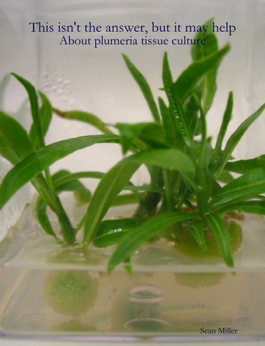 This isn't the answer, but it may help:  About plumeria tissue culture