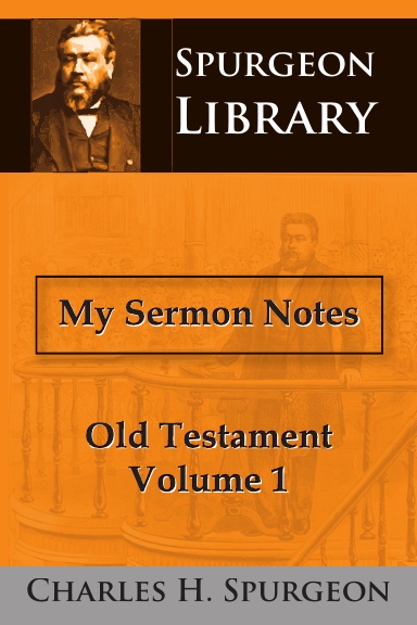 My Sermon Notes - Old Testament Volume 1