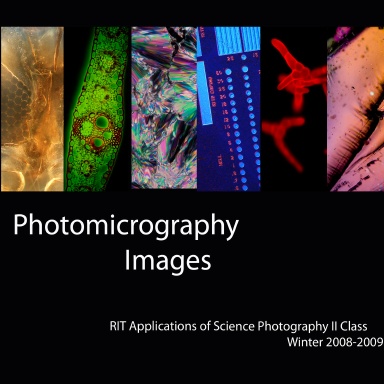 Photomicrography Images