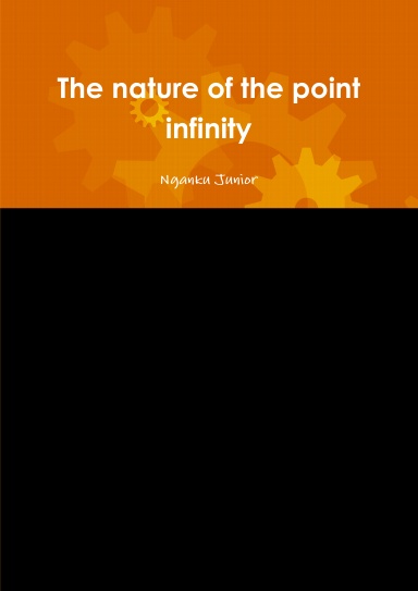 The nature of the point infinity