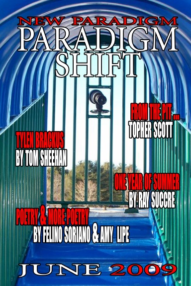 Paradigm Shift: New Paradigm: June 2009